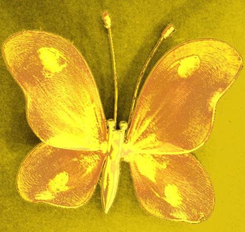 goldener Schmetterling, esoterische Spruchweisheit,