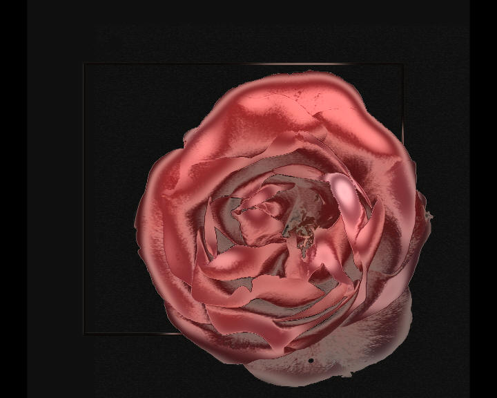 rot galvanisierte Rose, Symbol der Liebe,